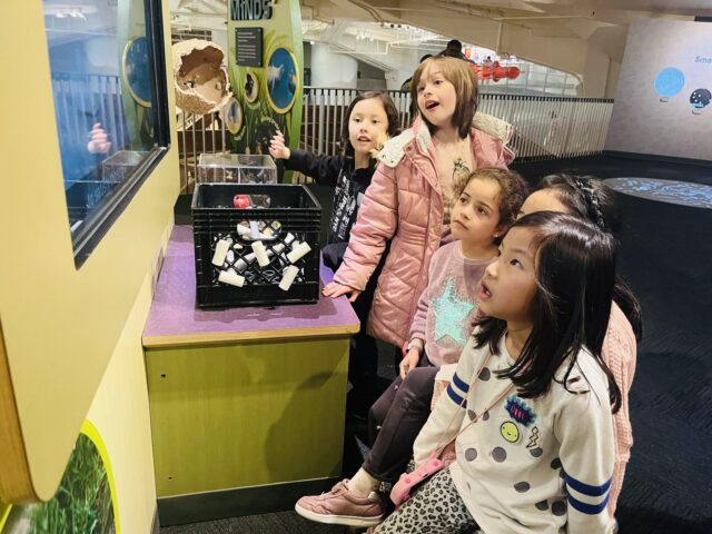 PS 206Q students looking at a display in a museum.