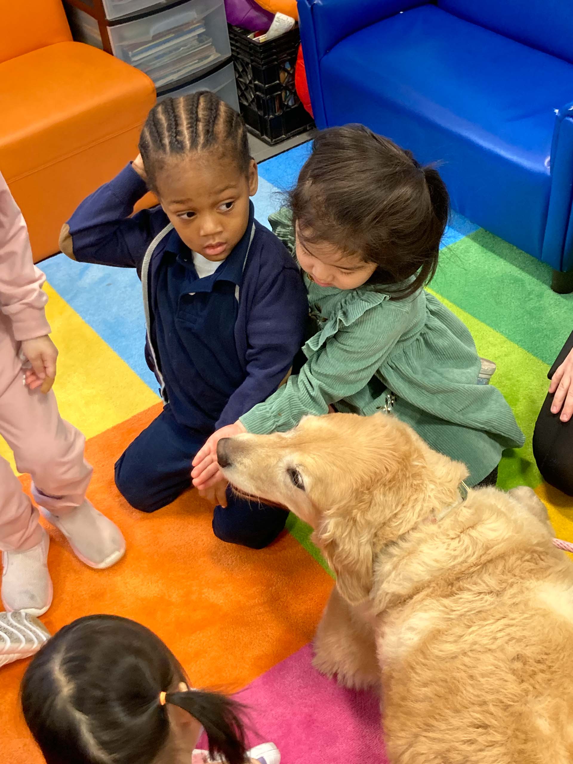 A group of children petting a dog at a camp.